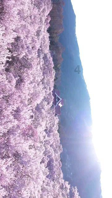 燃烧吧大脑装瓶子游戏