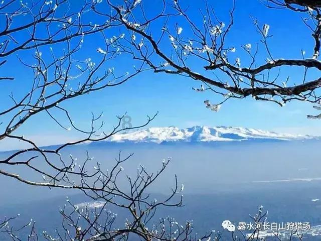 美图秀秀下载2023最新版