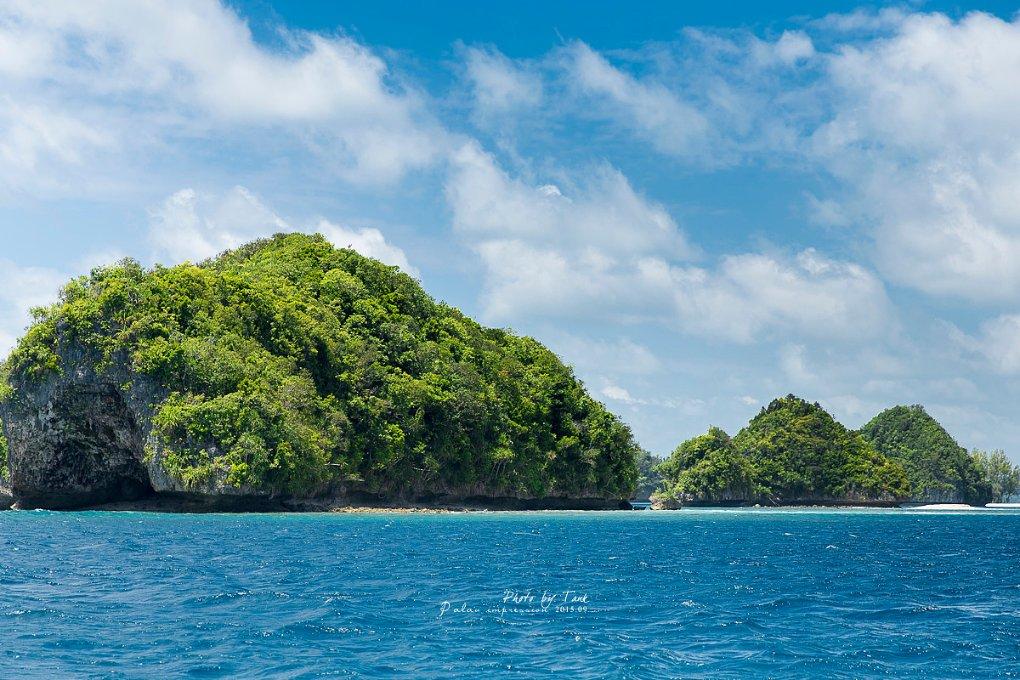 救援深海动物