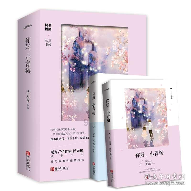 嵩明县开展2024年创建省级文明城市暨巩固国家卫生县复审第3次实地督查