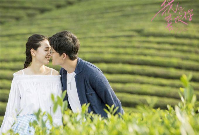 美丽的铅笔裙