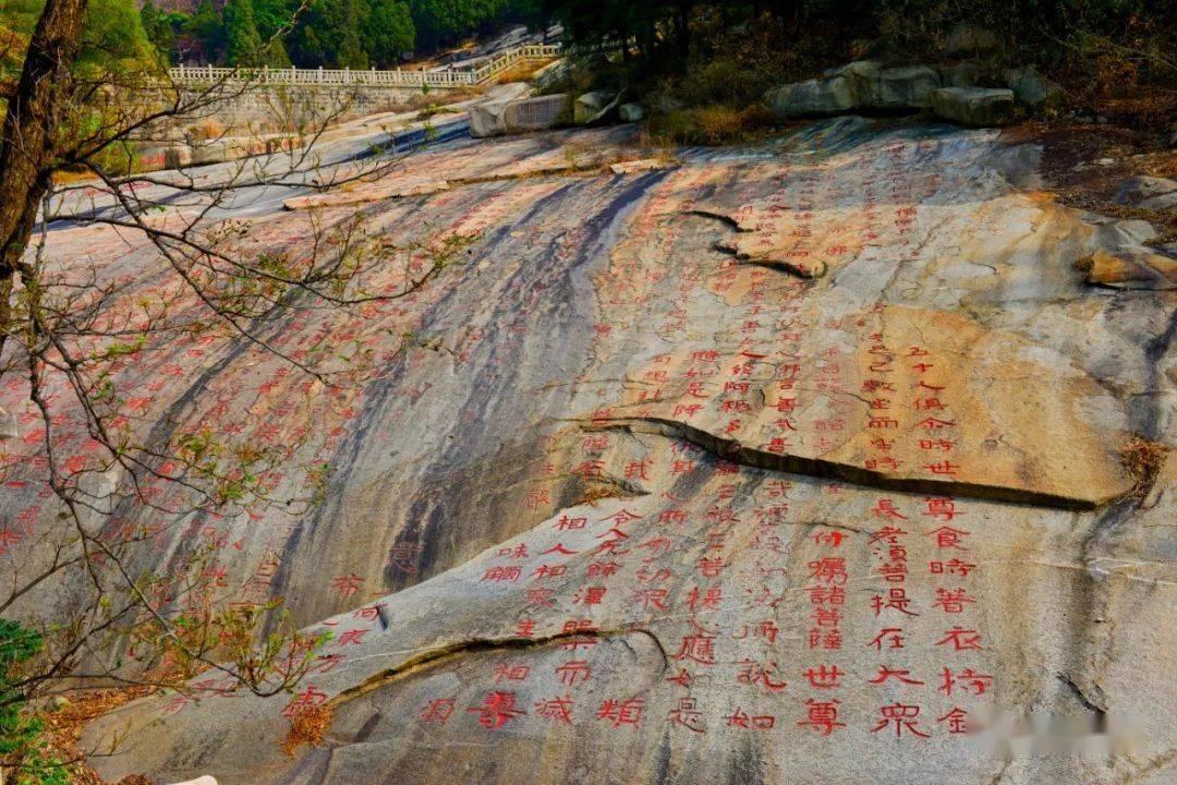 探索知识网络,尽在培训机构资质查询!