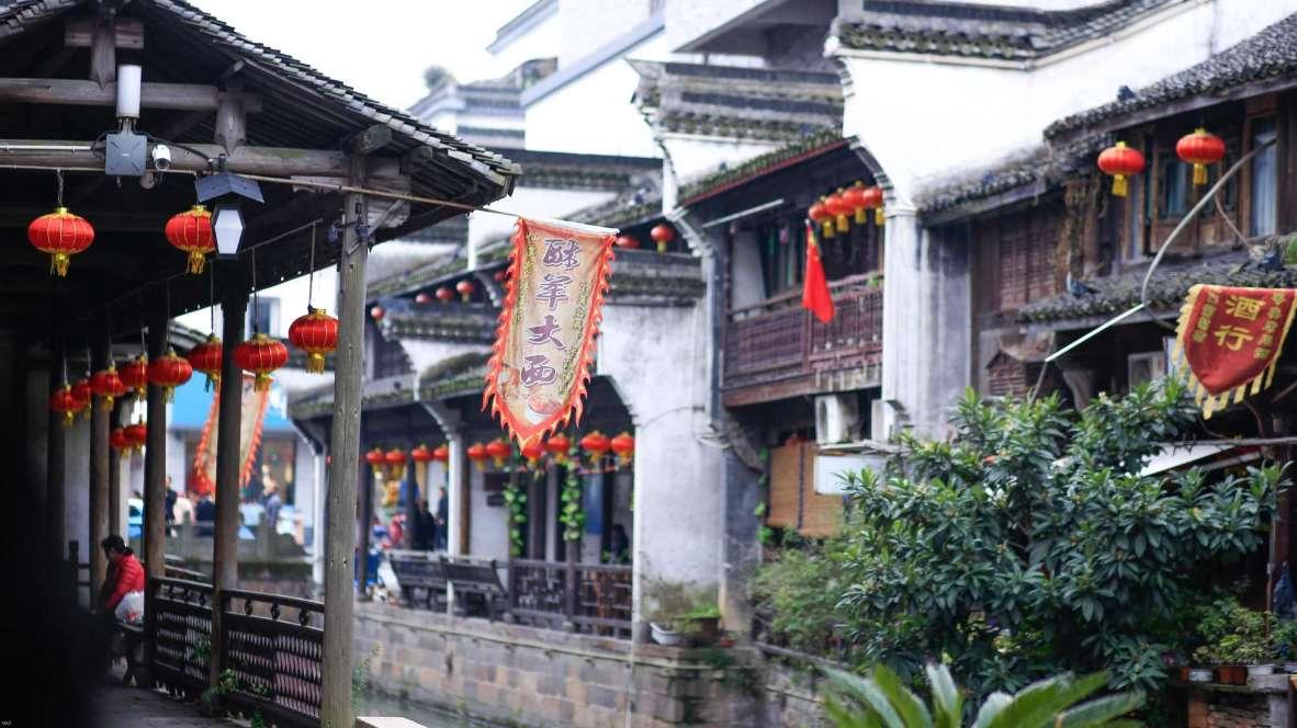 穿越遗弃的森林