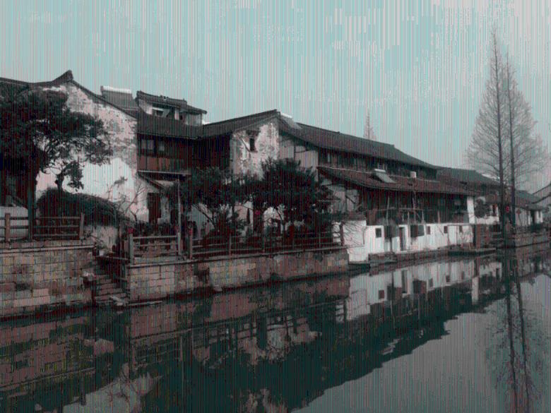 沙皮狗逃离