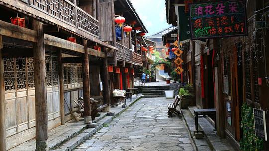 动物帮帮忙保卫家园
