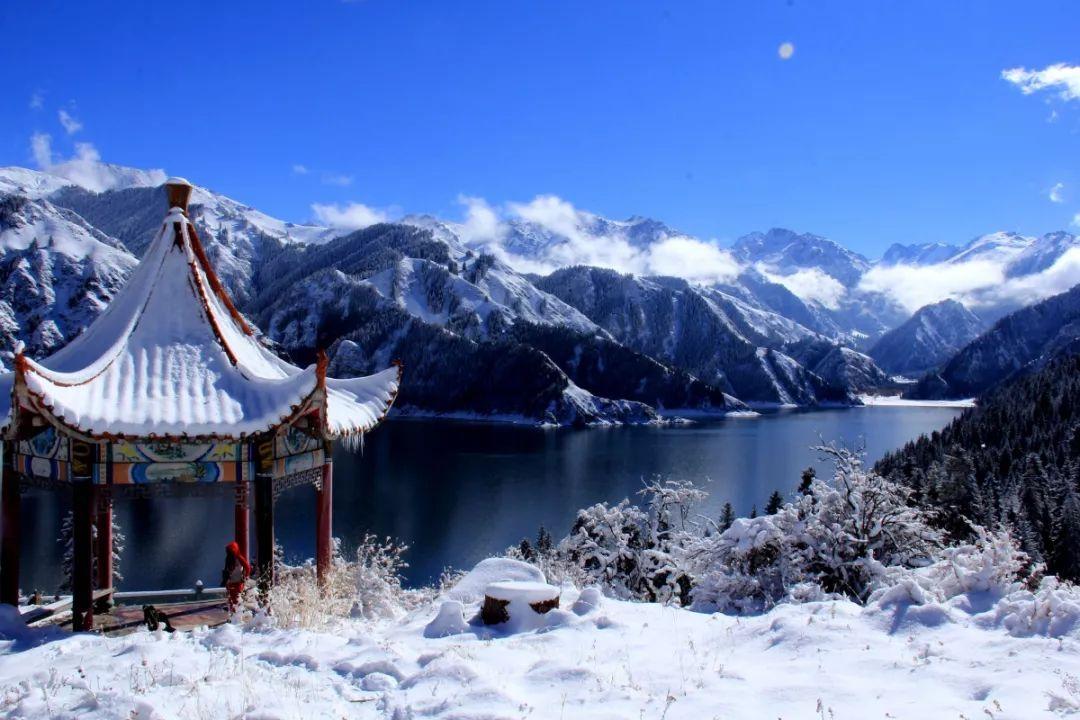 我四十九岁，结扎了，还能生育吗？游戏画面